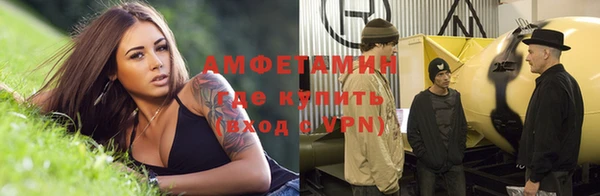 метадон Алексин