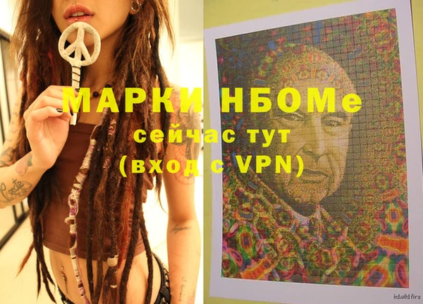 метадон Алексин