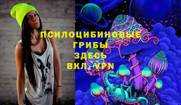 метамфетамин Алексеевка